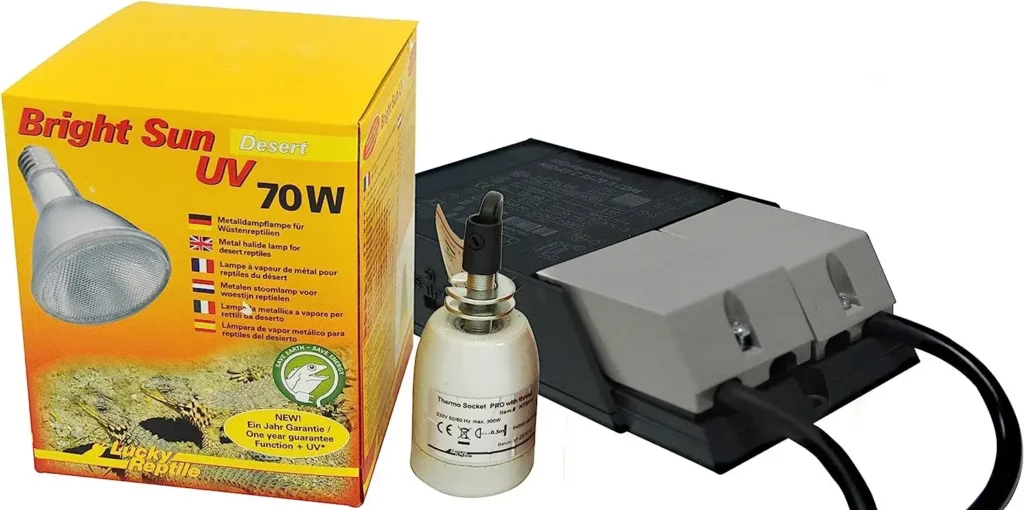 Bartagame UV Beleuchtung Set