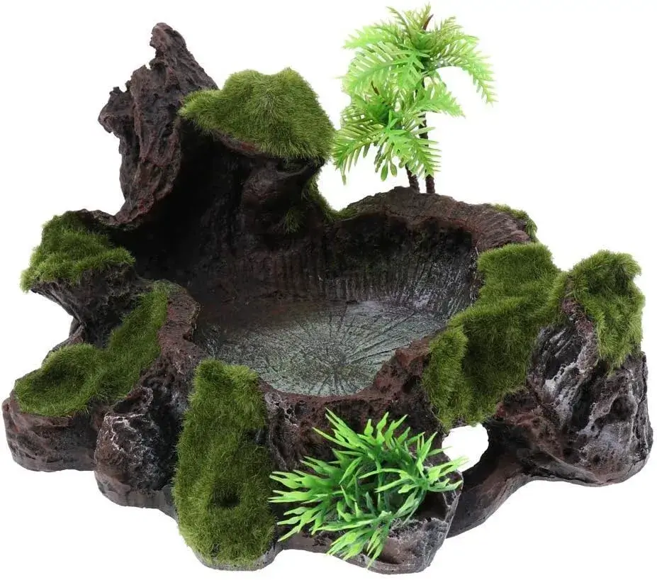 Wasserschale fürs Terrarium Deko